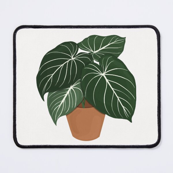 Item preview, Philodendron Gloriosum / Houseplant  designed and sold by WithAhava.