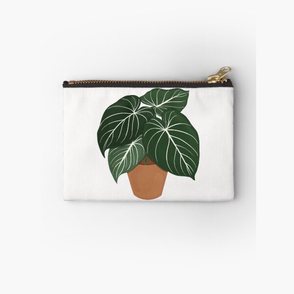 Item preview, Philodendron Gloriosum / Houseplant  designed and sold by WithAhava.