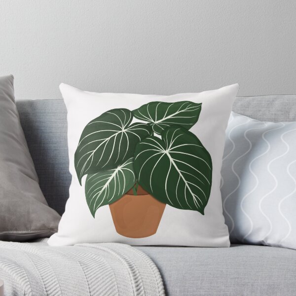 Item preview, Philodendron Gloriosum / Houseplant  designed and sold by WithAhava.