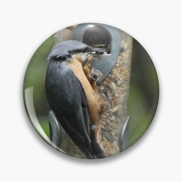 Item preview, nuthatch designed and sold by KathleenDawson.