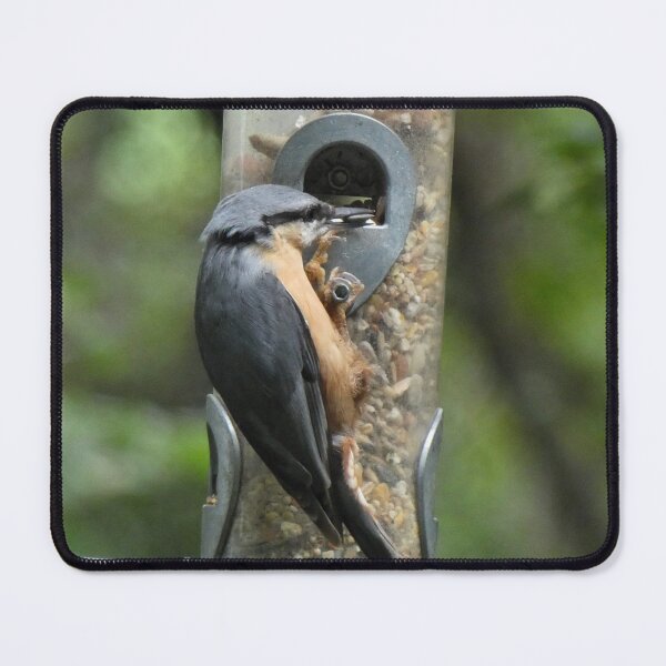 Item preview, nuthatch designed and sold by KathleenDawson.