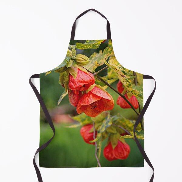 Item preview, Chinese lantern abutilon plant flowers designed and sold by FranWest.