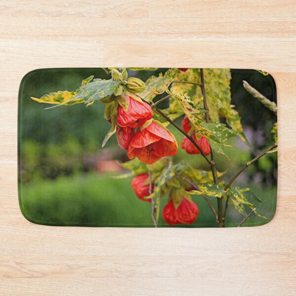 Item preview, Chinese lantern abutilon plant flowers designed and sold by FranWest.