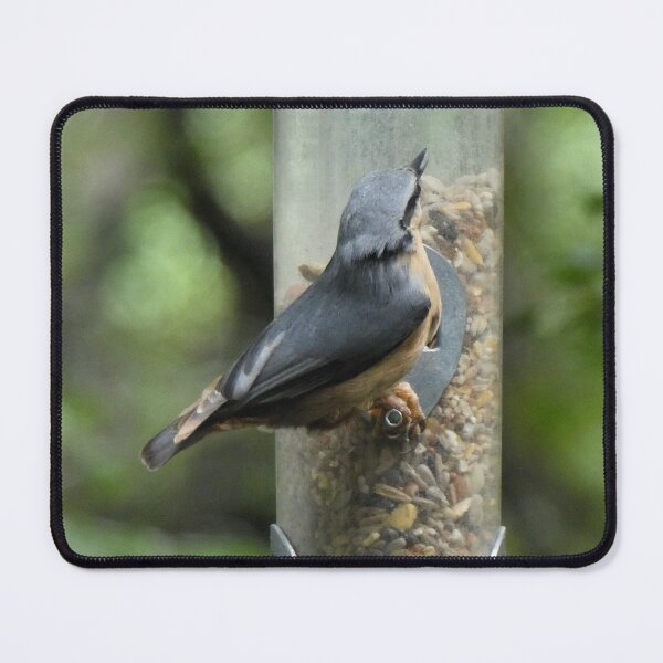 Item preview, nuthatch designed and sold by KathleenDawson.