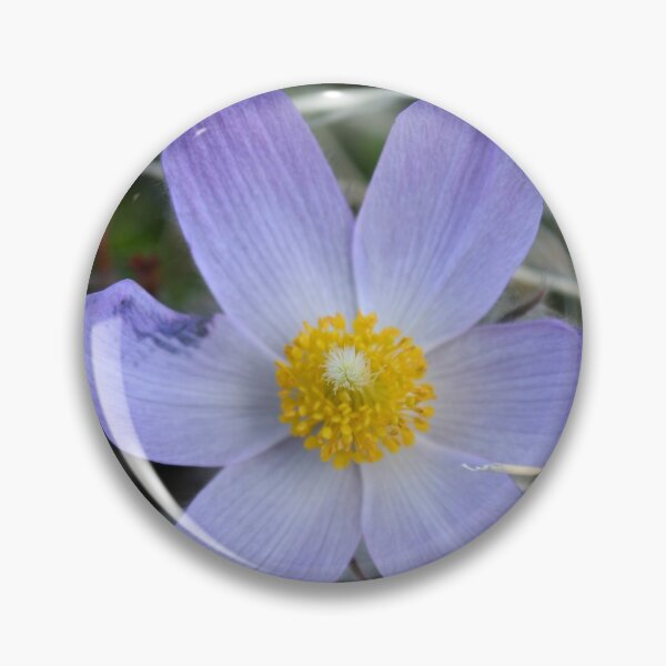Item preview, Prairie Crocus designed and sold by Alyce Taylor.