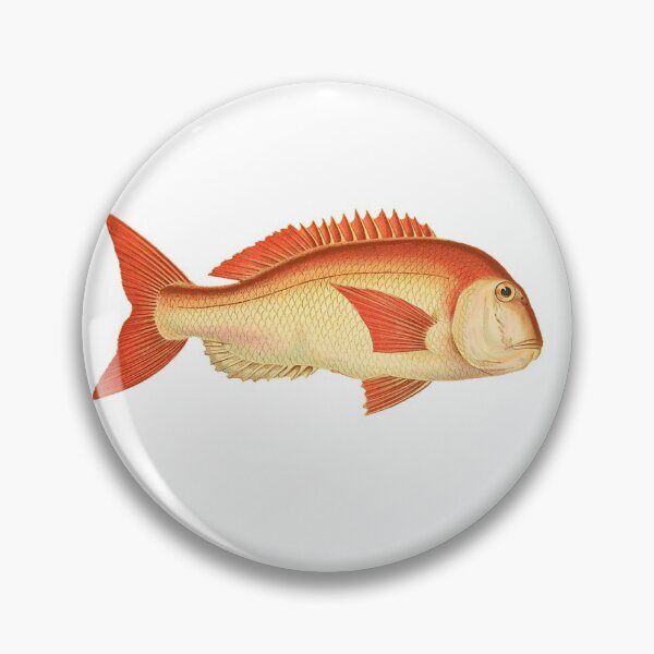 Item preview, Sea Bream 1868 designed and sold by BelleZeare.