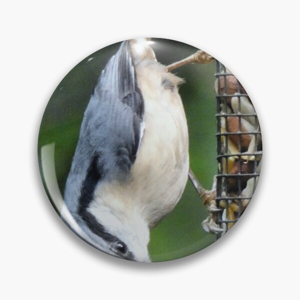Item preview, nuthatch designed and sold by KathleenDawson.