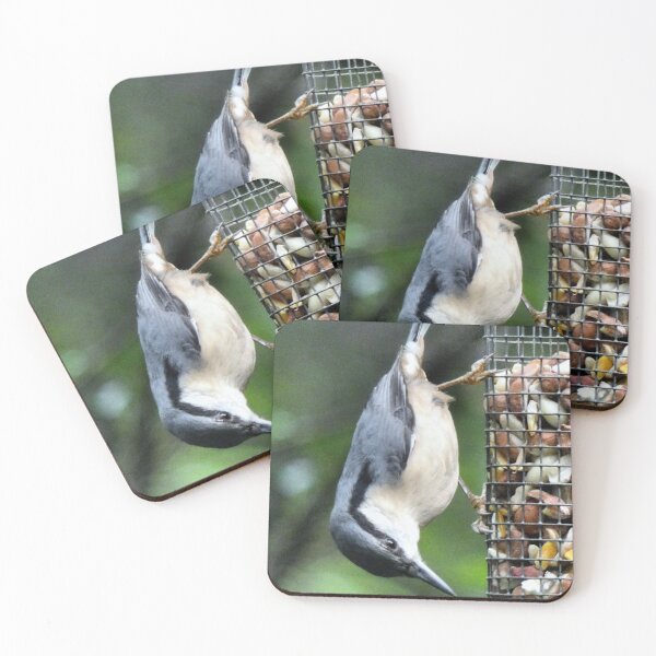 Item preview, nuthatch designed and sold by KathleenDawson.