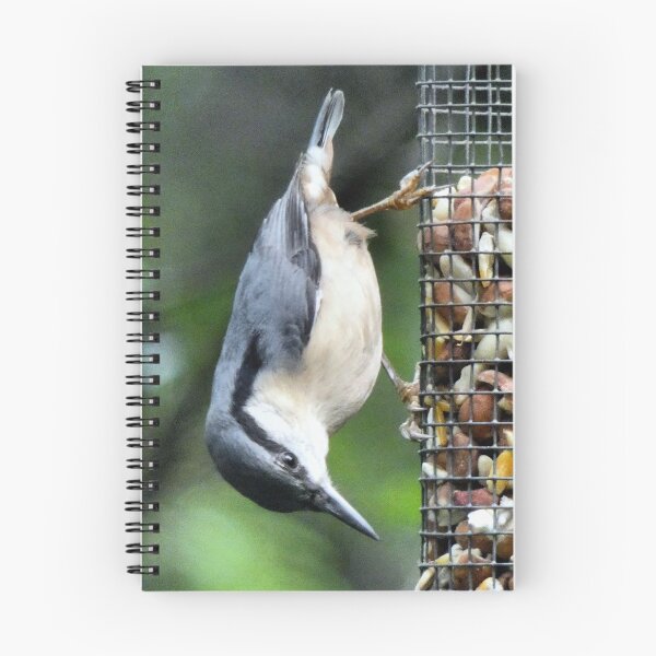 Item preview, nuthatch designed and sold by KathleenDawson.
