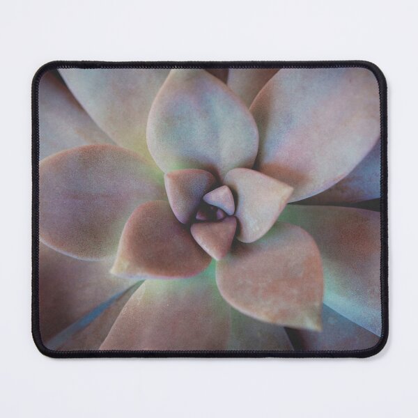 Item preview, Succulent designed and sold by Melanie Lawson.