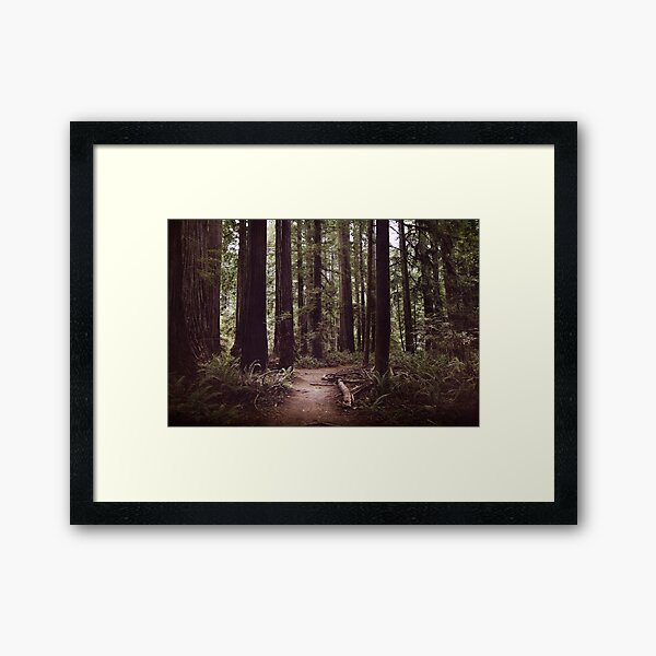 Item preview, Redwood Forest designed and sold by Melanie Lawson.