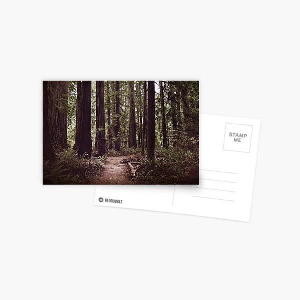 Item preview, Redwood Forest designed and sold by Melanie Lawson.