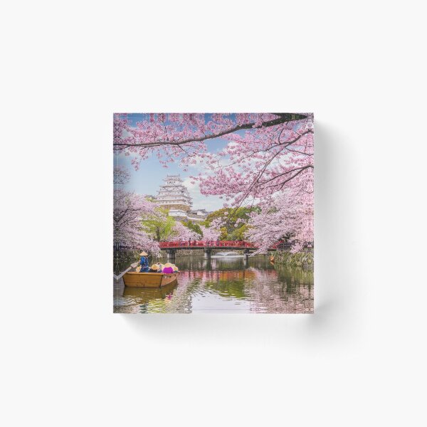 Item preview, Cherry Blossom in Japan - Photographic Print designed and sold by tinon2005.