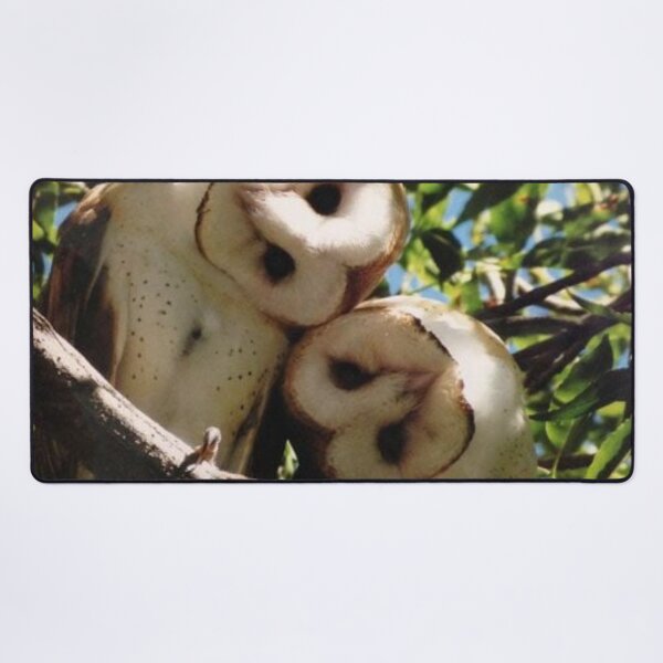 Item preview, Adorable pair of Barn Owls designed and sold by Maddie4Real.