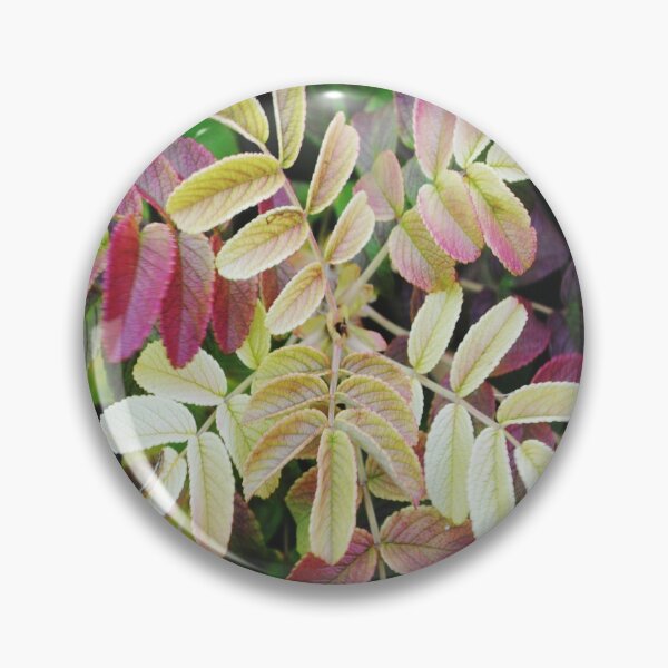 Item preview, Fall foliage. designed and sold by Tableaux51.