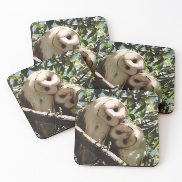 Item preview, Adorable pair of Barn Owls designed and sold by Maddie4Real.
