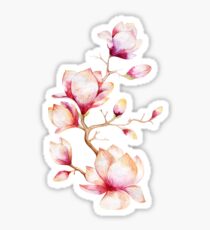 Pink Watercolor Magnolia Illustration Sticker