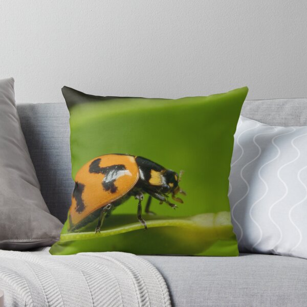Item preview,  _Coccinella transversalis_ designed and sold by Andrew Trevor-Jones.
