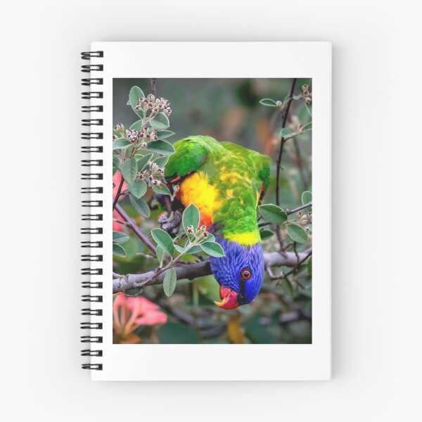 Item preview, Wonder Downunder designed and sold by sandraanderson.