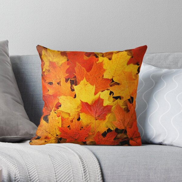 Fall pillows on store sale