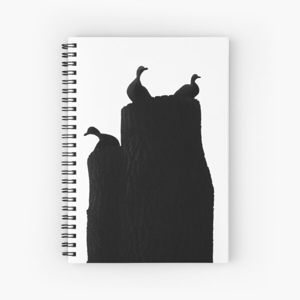 Three Ducks Spiral Notebook