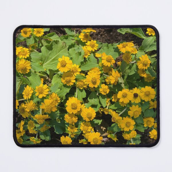 Item preview, Yellow Golden Crownbeard Flowers designed and sold by Sinemathk.