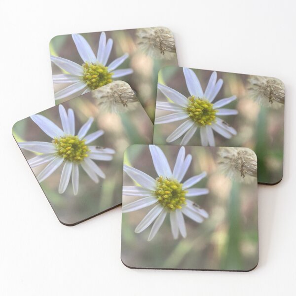 Item preview, Closeup of White Petalled Flower designed and sold by Sinemathk.