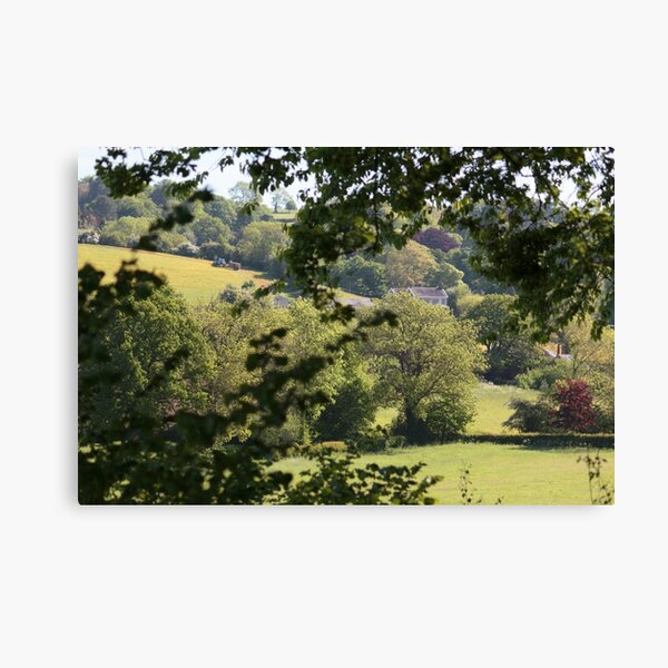 View from the Plot Canvas Print