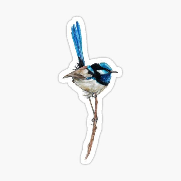 Item preview, Superb Fairy Wren Watercolours Art  designed and sold by maricelagomez.