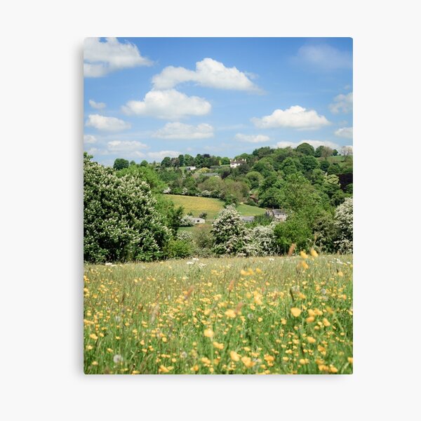 Ancient Hay Meadow Canvas Print