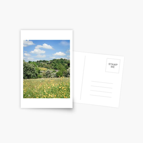 Ancient Hay Meadow Postcard