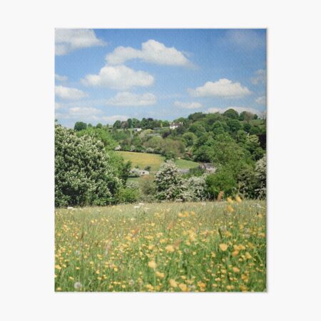 Ancient Hay Meadow Art Board Print