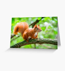 Untitled Greeting Card
