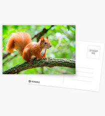 Untitled Postcards