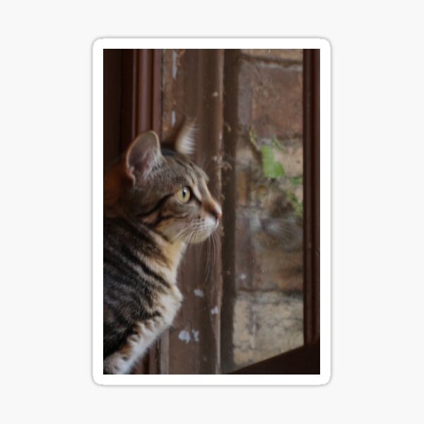 Birdwatching Sticker
