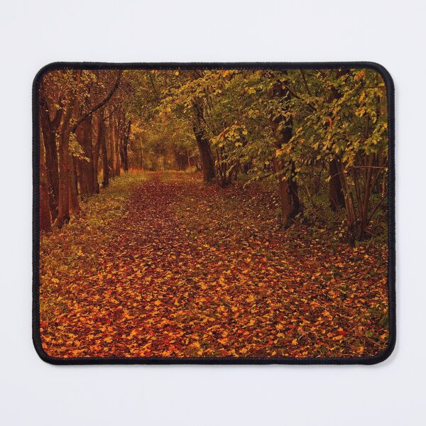 Item preview, Fallen Leaves in Autumn Woodland designed and sold by Martyn R Arnold Fine Art Nature & Landscape Photography.