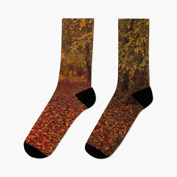 Item preview, Fallen Leaves in Autumn Woodland designed and sold by Martyn R Arnold Fine Art Nature & Landscape Photography.