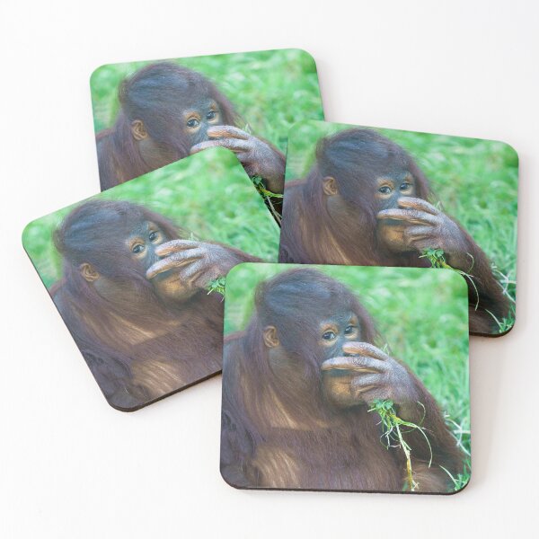 Item preview, Sneaky Look From The Orangutan Youngster designed and sold by rawshutterbug.