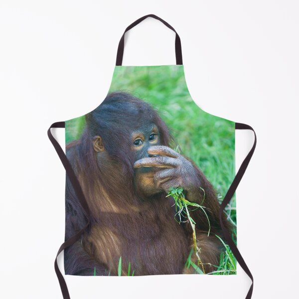 Artikelvorschau, Hinterhältiger Blick vom Orang-Utan Youngster entworfen und verkauft von rawshutterbug.