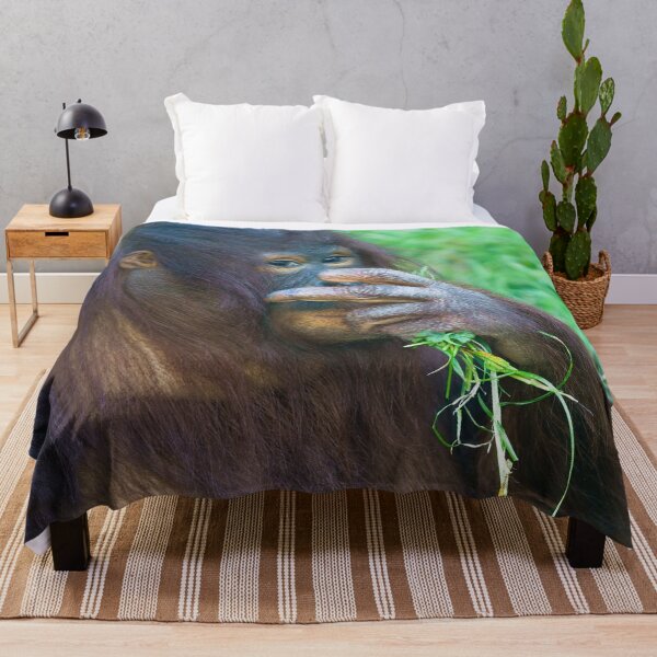 Item preview, Sneaky Look From The Orangutan Youngster designed and sold by rawshutterbug.