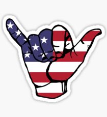 Pegatina america vibez ~~~