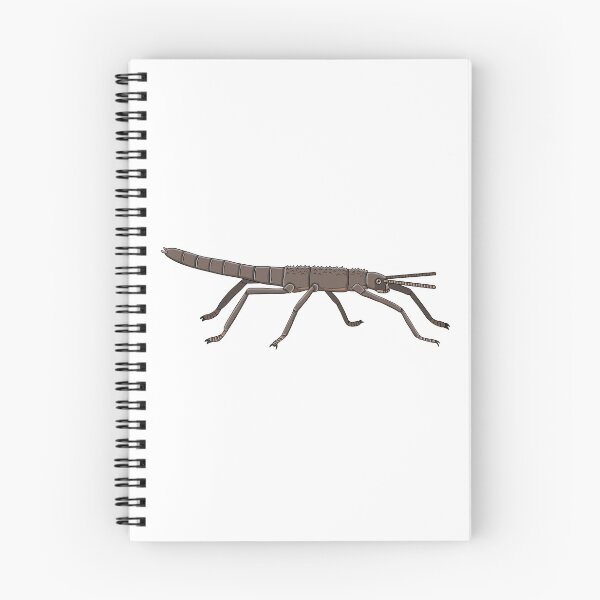 Item preview, Lord Howe Island stick insect designed and sold by Artbychb.