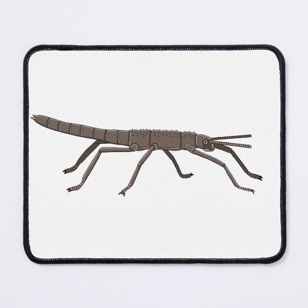 Item preview, Lord Howe Island stick insect designed and sold by Artbychb.