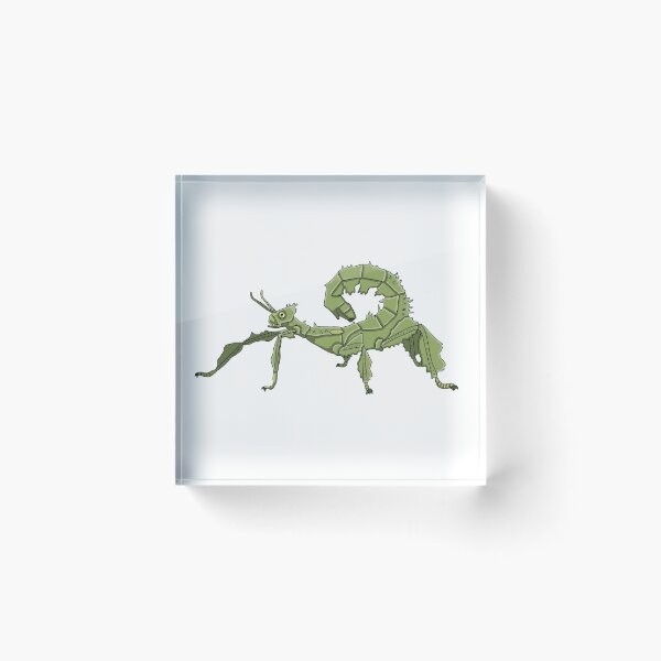 Item preview, Extatosoma tiaratum designed and sold by Artbychb.