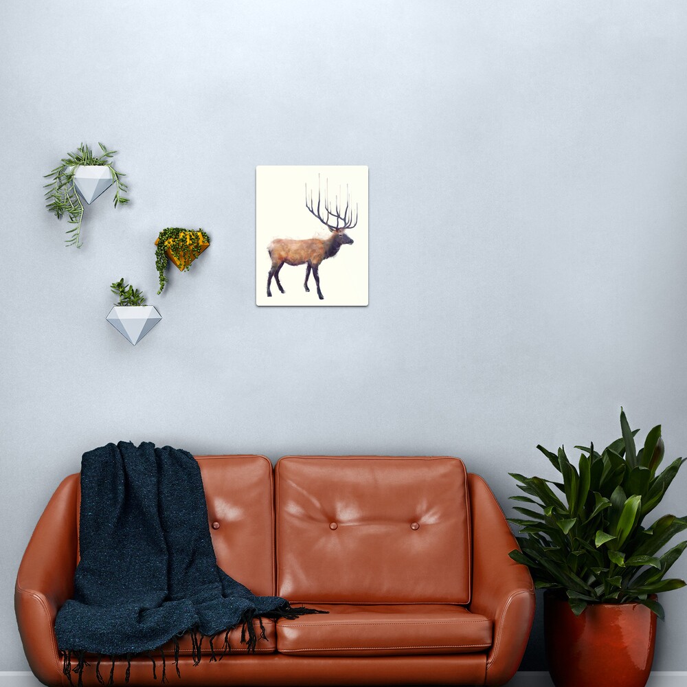 Elk // Reflect Metal Print