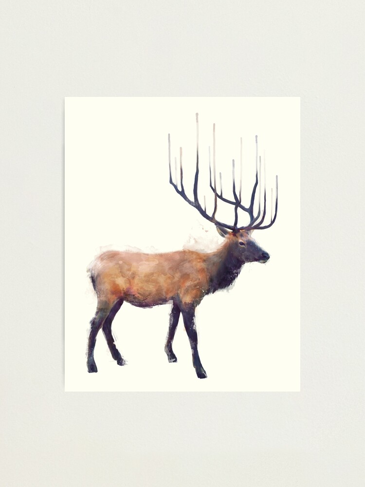 Alternate view of Elk // Reflect Photographic Print