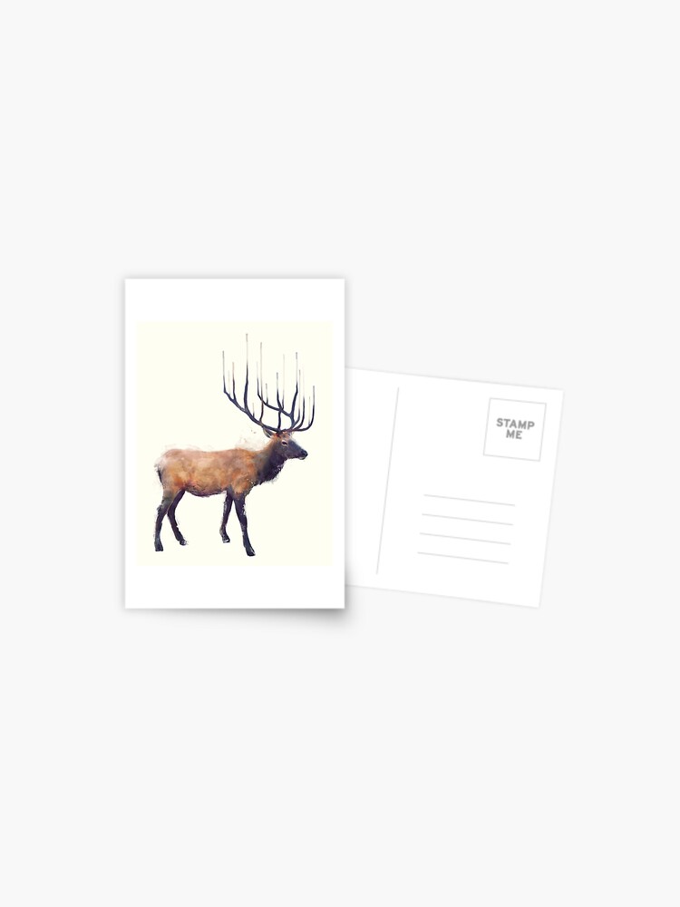 Thumbnail 1 of 2, Postcard, Elk // Reflect designed and sold by Amy Hamilton.