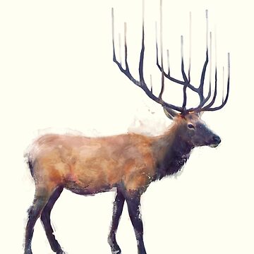 Artwork thumbnail, Elk // Reflect by AmyHamilton