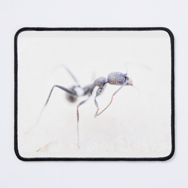 Item preview, Soldier Ant Close Up designed and sold by Weston Westmoreland.