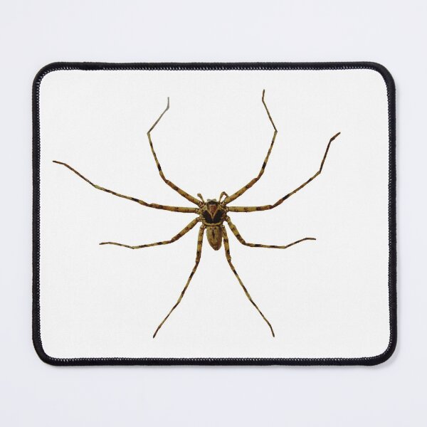 Item preview, Huntsman Spider designed and sold by inspireddezigne.